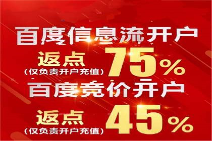 电商SEM推广案例解析