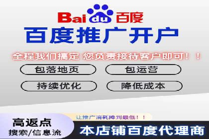 精准营销：百度推广平台的成功案例解析